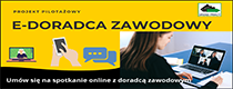 E-Doradca Zawodowy