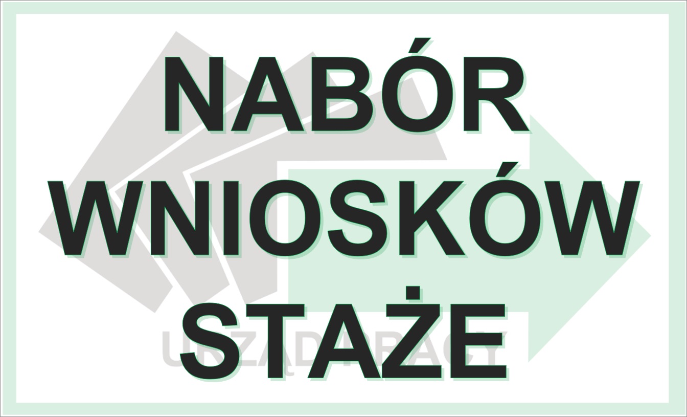 Obrazek dla: Nabór wniosków o zorganizowanie staży 5-cio miesięcznych